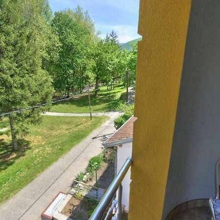 Apartments Banjica Soko Banja Exteriér fotografie