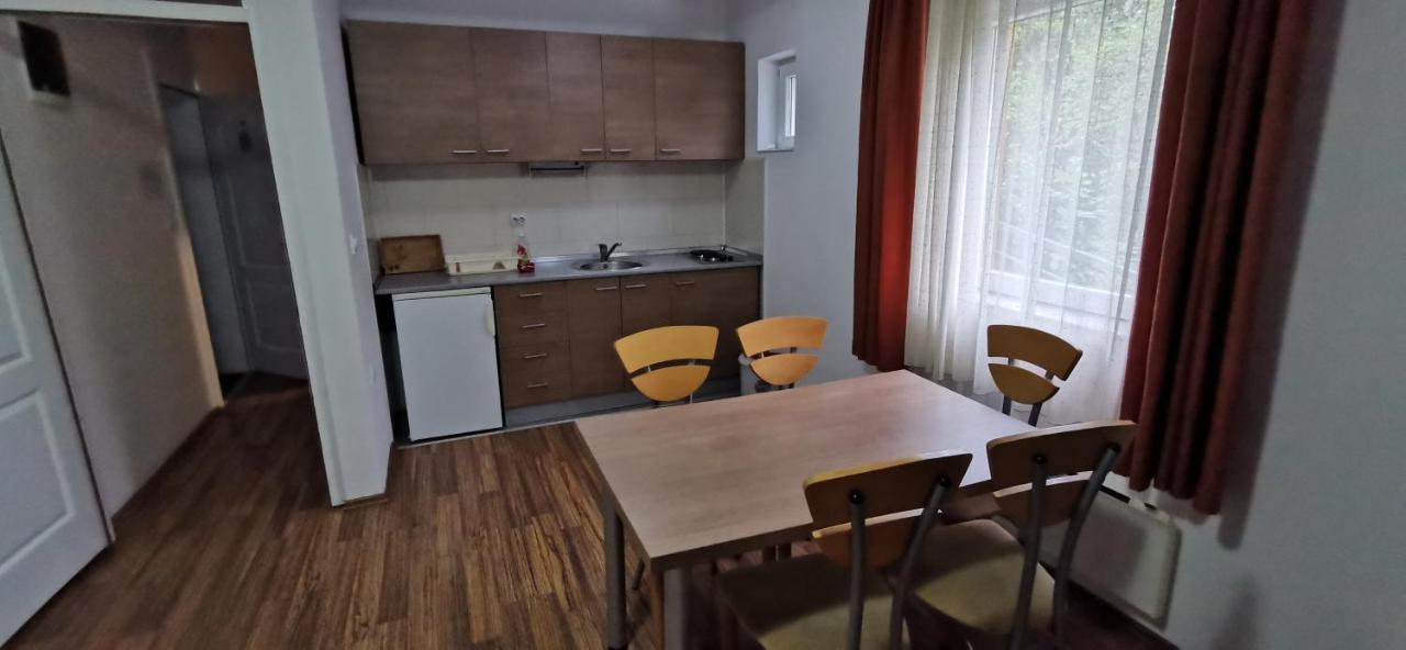 Apartments Banjica Soko Banja Exteriér fotografie