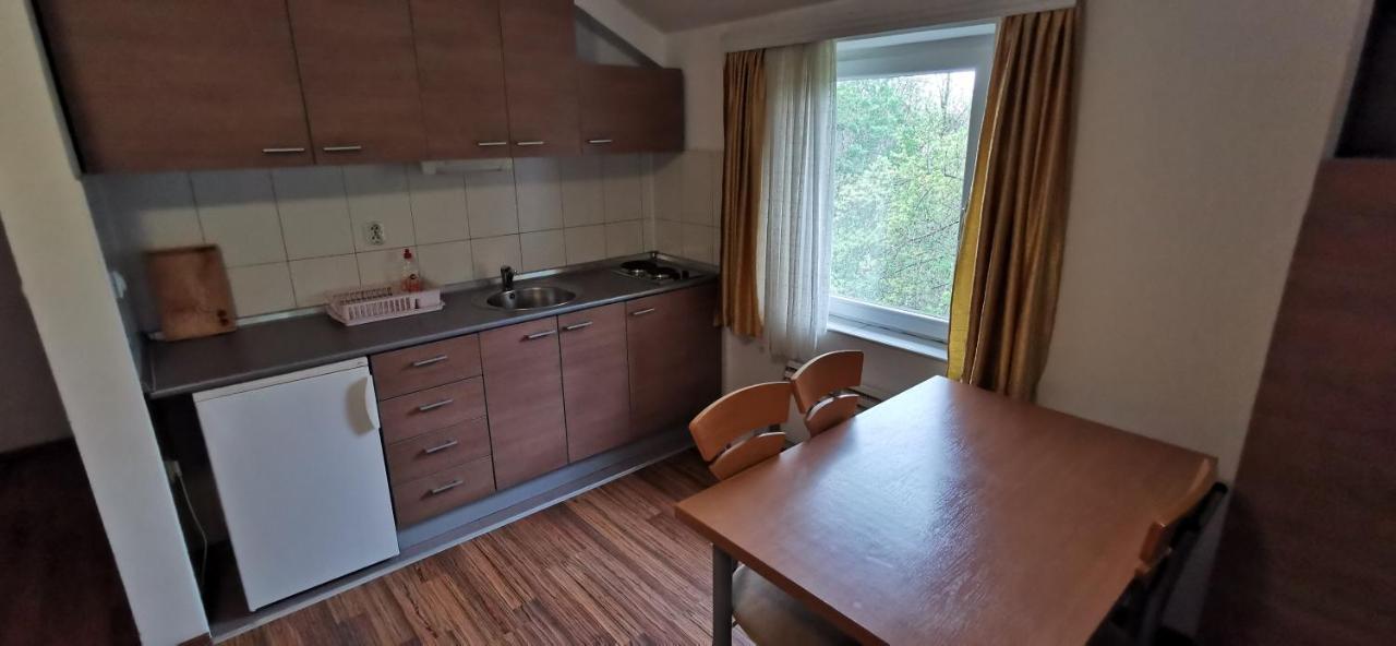 Apartments Banjica Soko Banja Exteriér fotografie